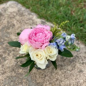 Meet your Posher, Anna